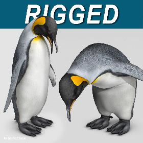 Penguin  King